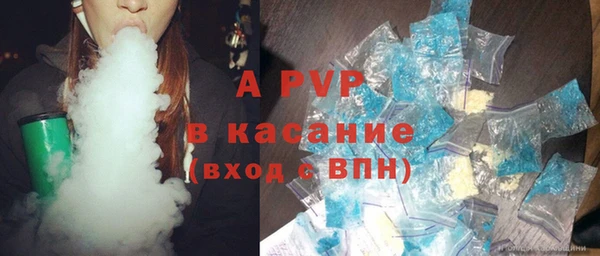 PSILOCYBIN Балахна