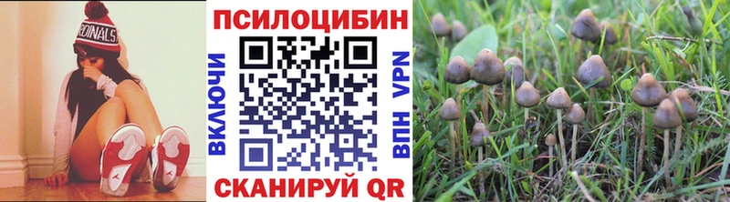 Галлюциногенные грибы мухоморы  Новороссийск 